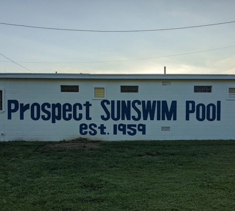 Prospect Sunswim Pool (Prospect,&nbspOH)